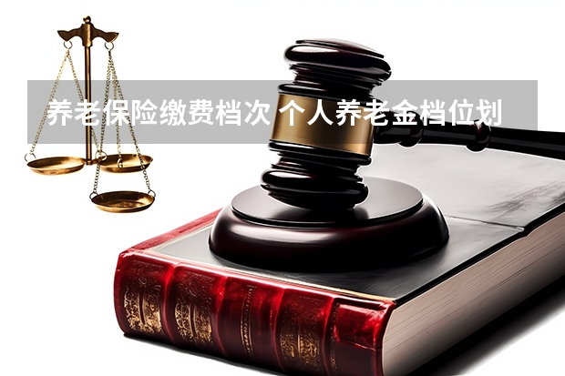 养老保险缴费档次 个人养老金档位划分