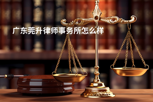广东莞升律师事务所怎么样