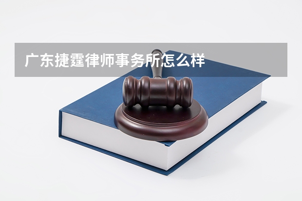 广东捷霆律师事务所怎么样