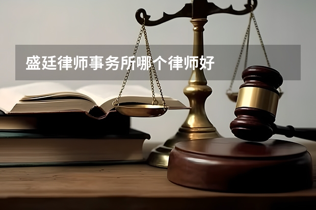 盛廷律师事务所哪个律师好