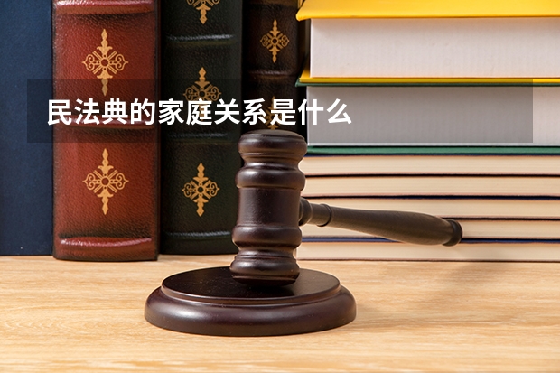 民法典的家庭关系是什么