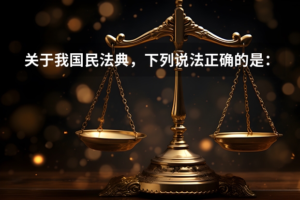 关于我国民法典，下列说法正确的是：（关于《中华人民共和国民法典》，以下表述正确的是∶）