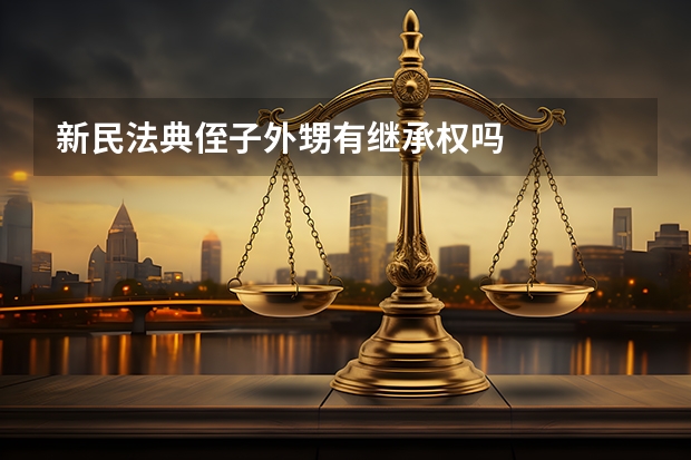 新民法典侄子外甥有继承权吗