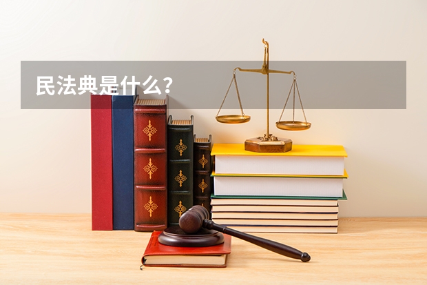 民法典是什么？