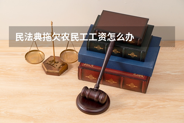 民法典拖欠农民工工资怎么办