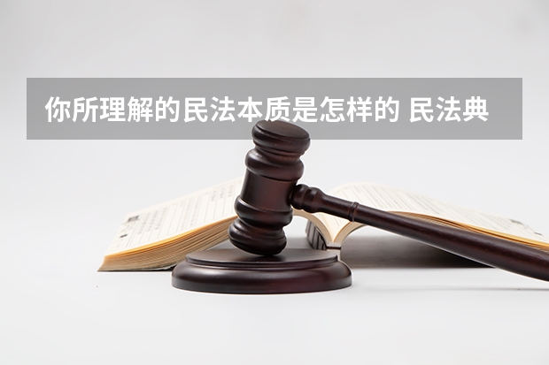你所理解的民法本质是怎样的 民法典的本质特征