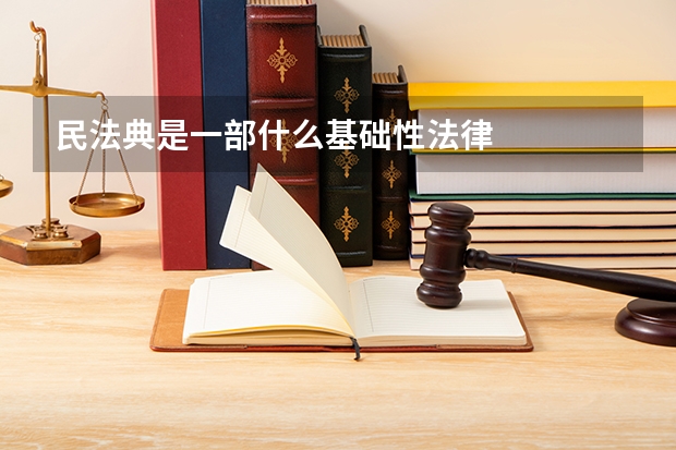 民法典是一部什么基础性法律