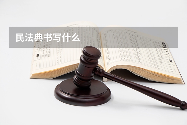 民法典书写什么