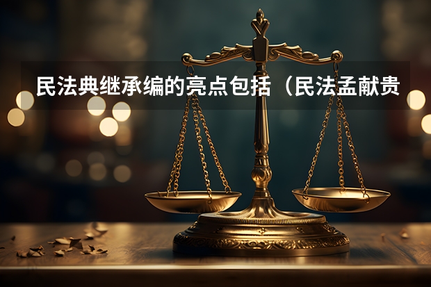 民法典继承编的亮点包括（民法孟献贵和张翔谁讲得好）