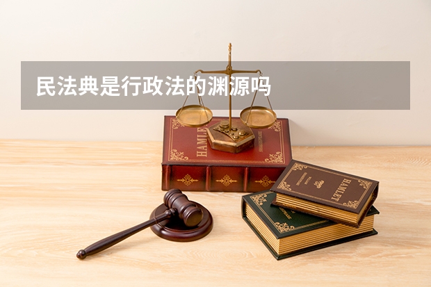 民法典是行政法的渊源吗