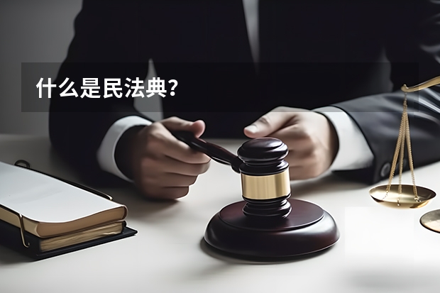 什么是民法典？