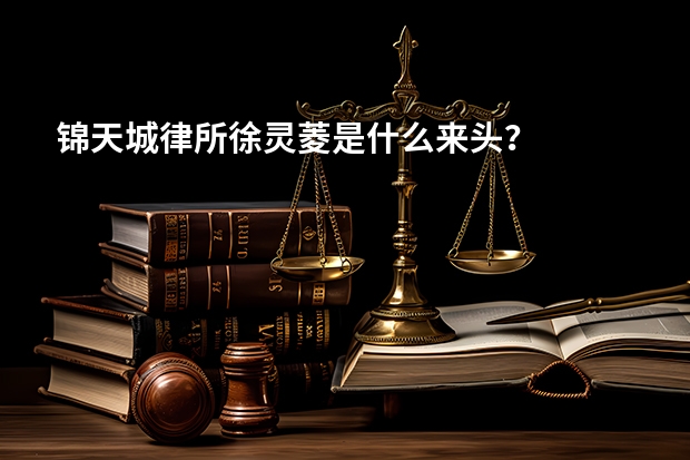 锦天城律所徐灵菱是什么来头？