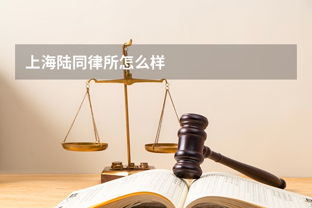 上海陆同律所怎么样
